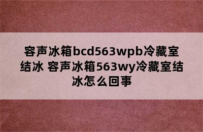 容声冰箱bcd563wpb冷藏室结冰 容声冰箱563wy冷藏室结冰怎么回事